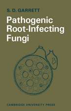 Pathogenic Root-Infecting Fungi