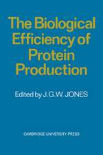 The Biological Efficiency of Protein Production