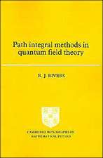 Path Integral Methods in Quantum Field Theory