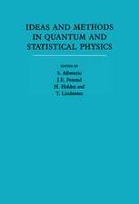 Ideas and Methods in Quantum and Statistical Physics: Volume 2: In Memory of Raphael Høegh-Krohn