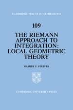 The Riemann Approach to Integration: Local Geometric Theory