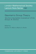 Geometric Group Theory: Volume 2