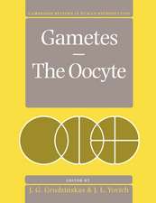 Gametes - The Oocyte