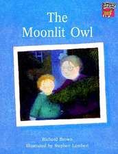 The Moonlit Owl