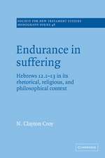 Endurance in Suffering: Hebrews 12:1-13 in its Rhetorical, Religious, and Philosophical Context