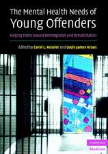 The Mental Health Needs of Young Offenders: Forging Paths toward Reintegration and Rehabilitation