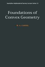 Foundations of Convex Geometry