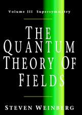 The Quantum Theory of Fields: Volume 3, Supersymmetry