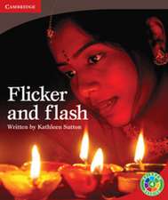 Flicker and Flash: Festivals