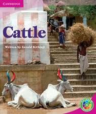 Cattle: Life and Living