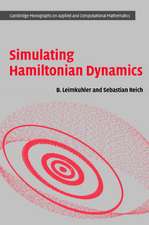 Simulating Hamiltonian Dynamics