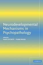 Neurodevelopmental Mechanisms in Psychopathology