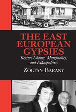 The East European Gypsies: Regime Change, Marginality, and Ethnopolitics