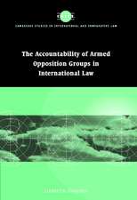 Accountability of Armed Opposition Groups in International Law