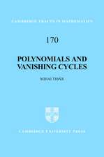 Polynomials and Vanishing Cycles