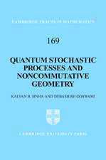 Quantum Stochastic Processes and Noncommutative Geometry