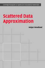 Scattered Data Approximation