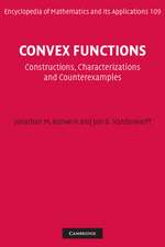 Convex Functions: Constructions, Characterizations and Counterexamples