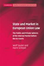 State and Market in European Union Law: The Public and Private Spheres of the Internal Market before the EU Courts