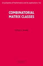 Combinatorial Matrix Classes