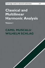 Classical and Multilinear Harmonic Analysis