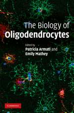 The Biology of Oligodendrocytes