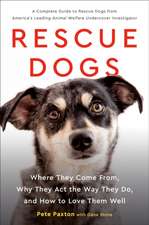 Rescue Dogs: Where They Come From, Why They Act the Way They Do, and How to Love Them Well