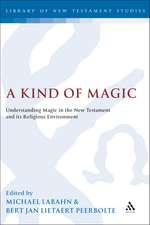 A Kind of Magic: Understanding Magic in the New Testament and its Religious Environment