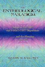 The Entheological Paradigm: Essays on the Dmt and 5-Meo-Dmt Experience and the Meaning of It All