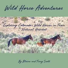 Wild Horse Adventures