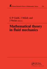 Mathematical Theory in Fluid Mechanics