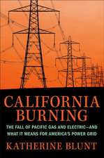 California Burning: The Fall of Pacific Gas and Electric - and What It Means for America's Power Grid