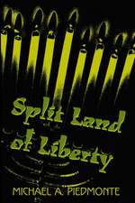 Split Land of Liberty