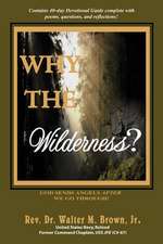 Why the Wilderness?