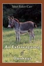 An Extravagance of Donkeys