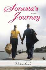 Sonesta's Journey