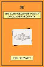 The Extraordinary Pupfish of Calaveras County