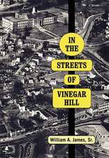 In the Streets of Vinegar Hill