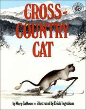 Cross-Country Cat: The Return to Narnia