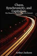 Chaos, Synchronicity, and Capitalism: The Phases in the Evolution of a Natural System