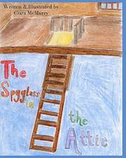 The Spyglass in the Attic: An Easy Way to Relieve Pain, Tension, Anxiety and Stress. Gain Vibrant Health and Look Years Younger.