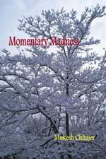 Momentary Madness: Book One of the Celebration Trilogy