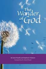 The Wonder of God