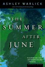 The Summer After June