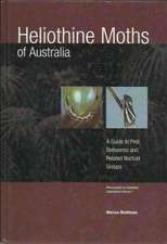 Heliothine Moths of Australia: 