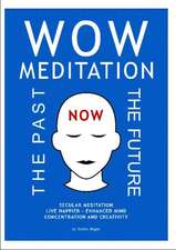 WOW Meditation: The Past -- The Future