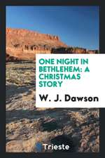 One Night in Bethlehem: A Christmas Story