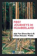 First Journeys in Numberland