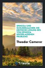 Spinoza Und Schleiermacher: Die Kritische Losung Des Von Spinoza Hinterlassenen Problems