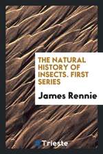 The Natural History of Insects. First Series